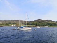 Week 9 - very much hoping this is our last fortnight!