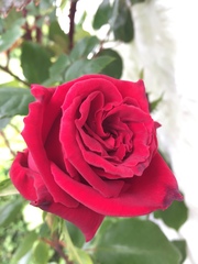 Show Us Your Pictures 4