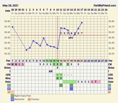 9DPO Symptom Spotting
