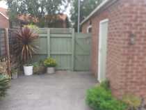 Back garden / yard ideas....