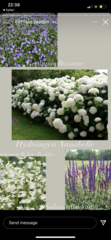 New gardener - I know which plants if like to plant but how do i know which ones to plant where?