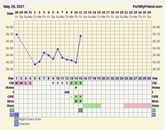 9DPO Symptom Spotting