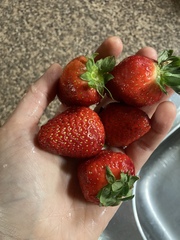 Posting pics of everything you eat thread!