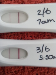 Late Jan - all of Feb 2022