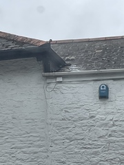 To see how quickly we can fill up this thread?