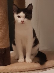 After 23 years of boys we have a girl