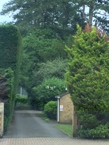 Easement rights