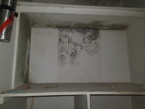 Mould- where to start?