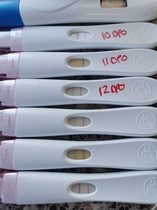 pregnant after miscarriages...