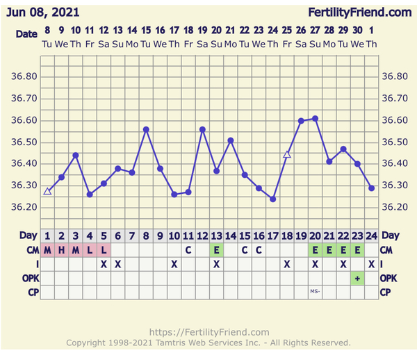 🧙Witch day did I ovulate?!🧙