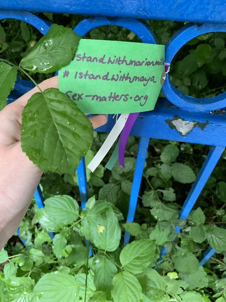 Suffragette ribbon in the wild