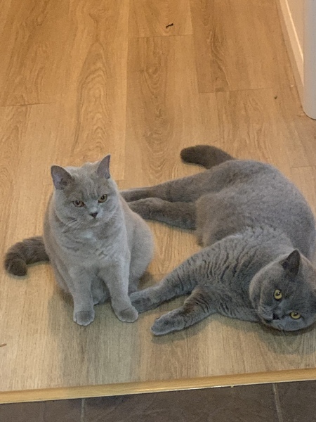 Stitch and bitch thread #3 Sewing is harder than it seams