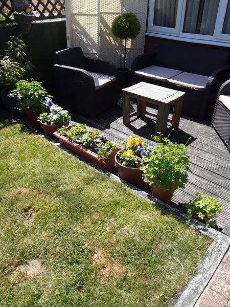 Overlooked garden