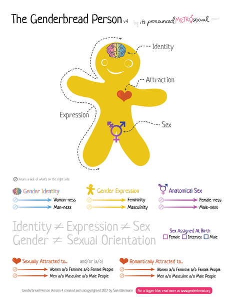 "We can know the baby's sex but not its gender"