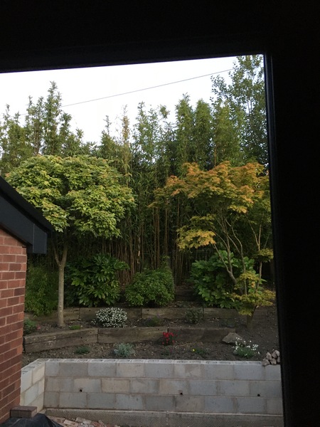 Garden screening question