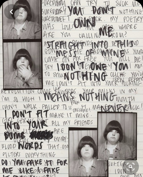 My childhood diaries were read and mocked - how can I get over this to begin journaling again?