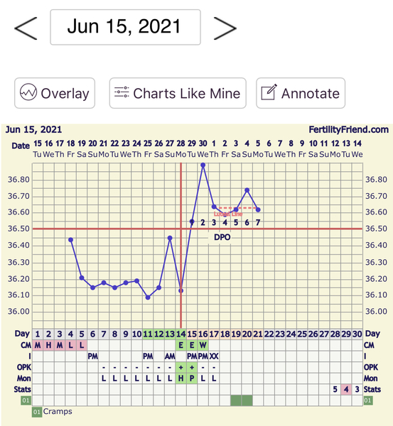 🧙Witch day did I ovulate?!🧙