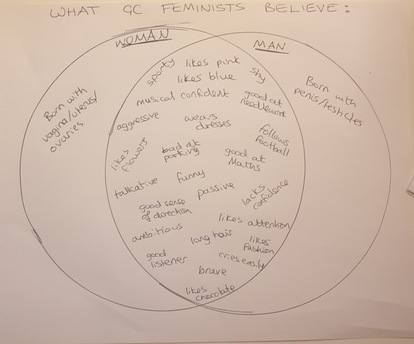 How is it "gender critical" to impose rigid binary social categories based on sex?
