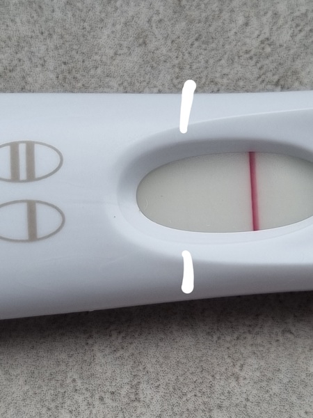 Toot toot, it's the July 2021 TTC Bus arriving early