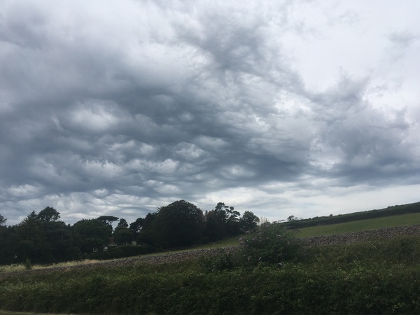 Any Witches Here? Part 14.