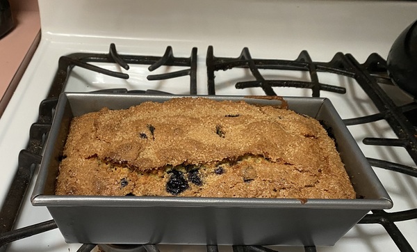 Come and tell me your dull and unexciting news 16: Calmly through the day