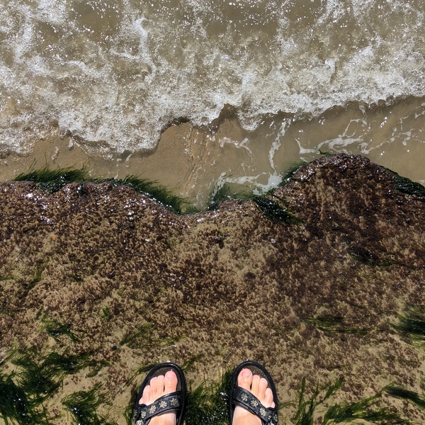 Fluoxetine/antidepressants