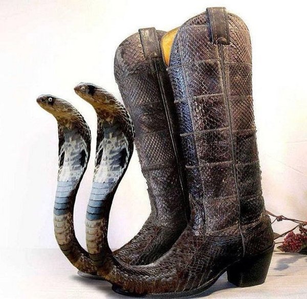 I've found the worlds oddest boots.