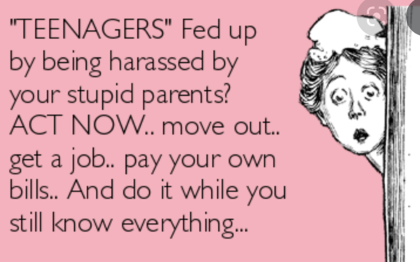 Adult stepson & summer hols