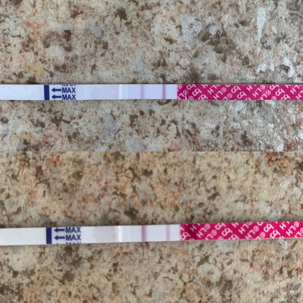 TTC - Ovulation