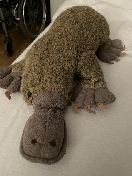 AIBU to be heartbroken the cleaner ruined my platypus?