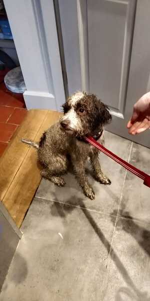 Bedlam at bathtime