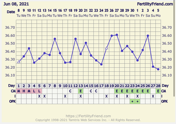 🧙Witch day did I ovulate?!🧙