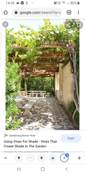 Solar gain... Do I need to worry?