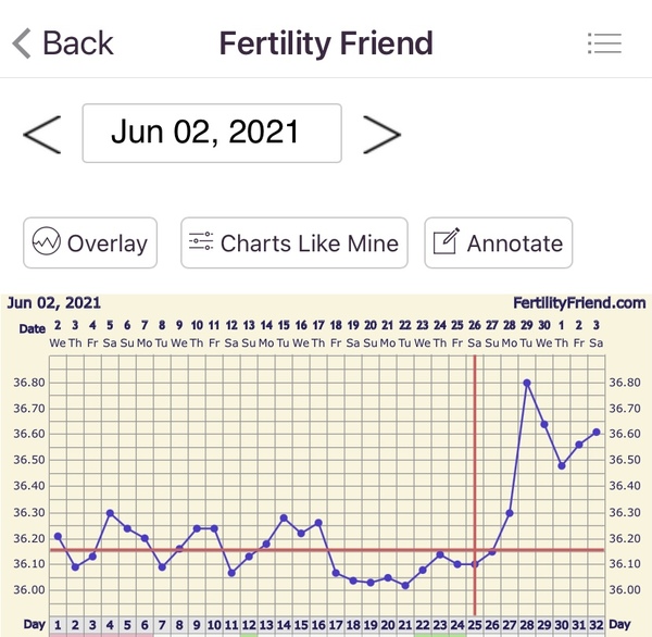 🧙Witch day did I ovulate?!🧙