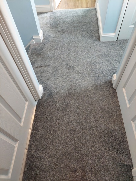 Did you regret grey carpet?