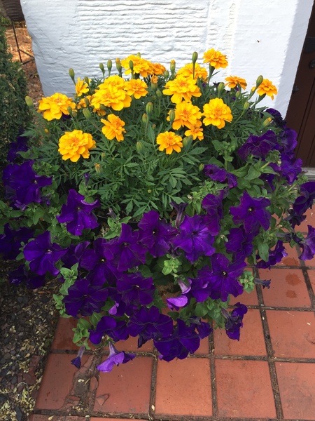 Show Us Your Pictures: 5 Alive