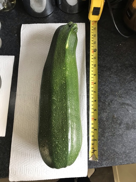 Allotment/Veg patch Thread 17 - onwards and upwards