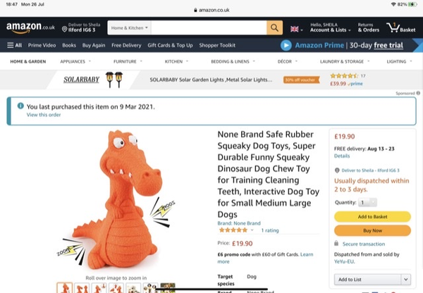 Toys for a two year old dog