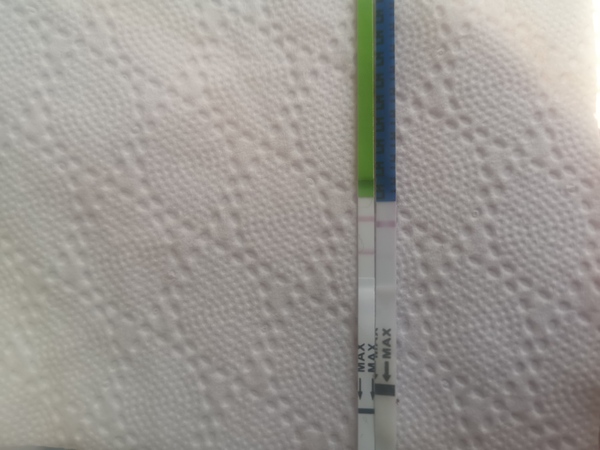 Trying for baby number 3