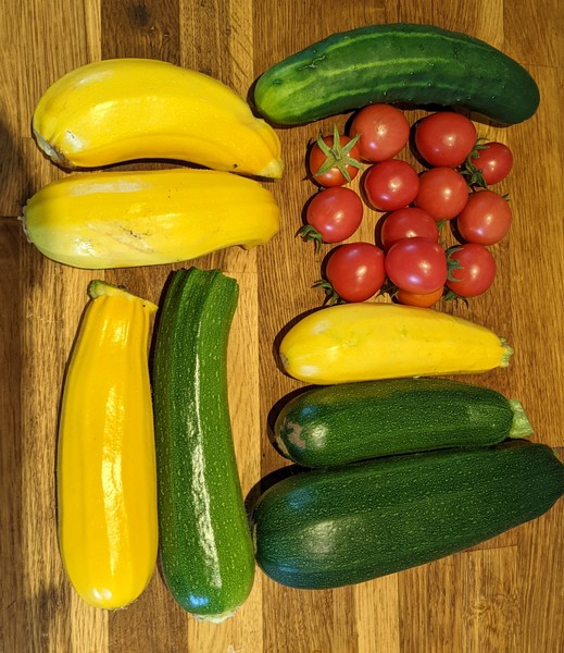Allotment/Veg patch Thread 17 - onwards and upwards