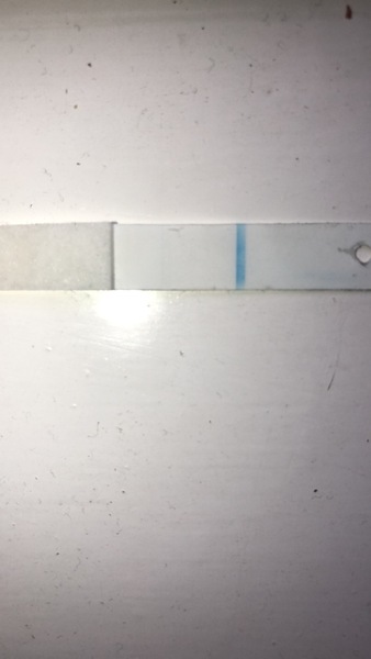 Faint line or Evaportion line