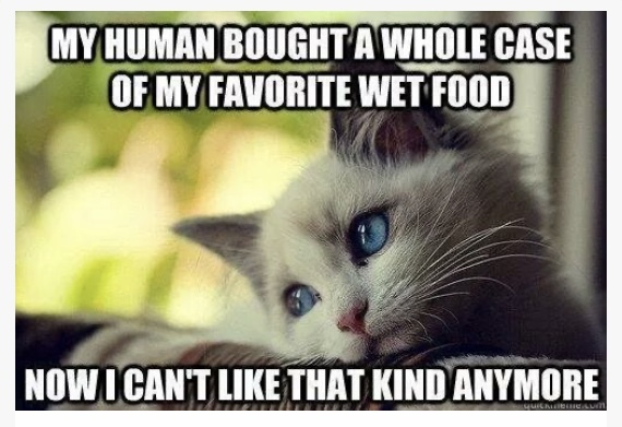 WARNING Felix - Purina Cat food