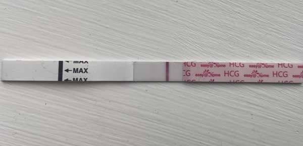 Toot toot, it's the July 2021 TTC Bus arriving early