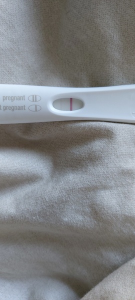 Toot toot, it's the July 2021 TTC Bus arriving early