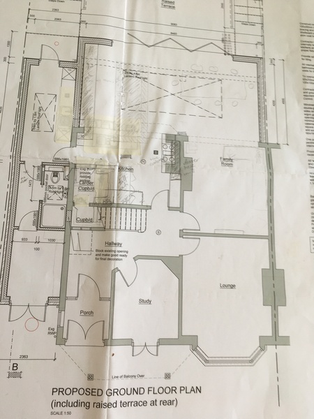 Thoughts on this potential kitchen layout please?