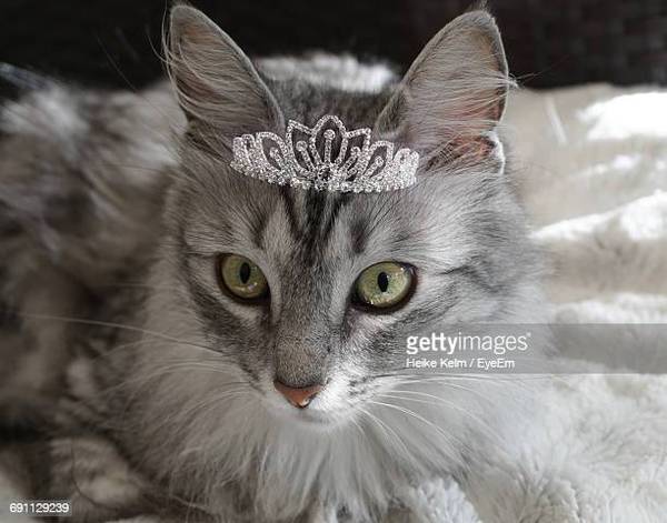 Royal Style - has Kate ditched the skinnies?