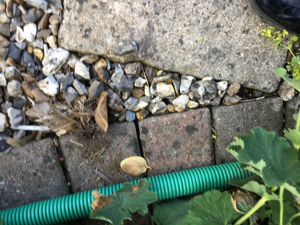 What the heck? Installation of broadband-dug up drive, spray painting and bloody mess left