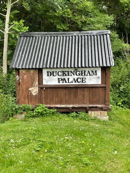 Duck Tales! (Still not what I expected to wake up to this morning)