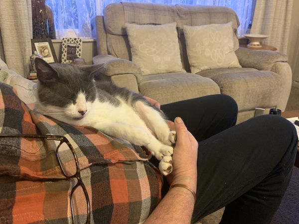What's your DCat up to today? (Thread 8)