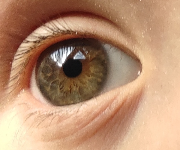 What colour are my baby's eyes?